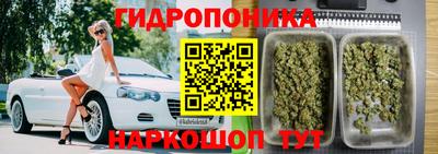 PSILOCYBIN Лесосибирск