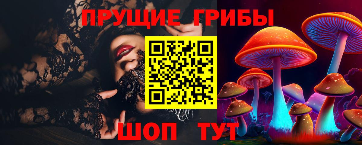 Псилоцибиновые грибы мухоморы Зима